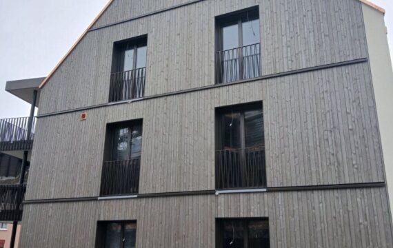 Zwei Mehrfamilienhäuser, Mettmenstetten