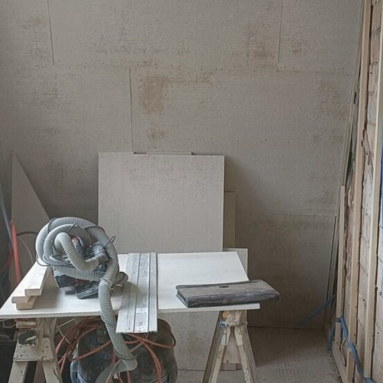 Zimmervergrösserung, Beinwil am See