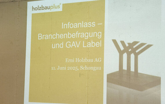 Branchenbefragung Holzbau 2024 