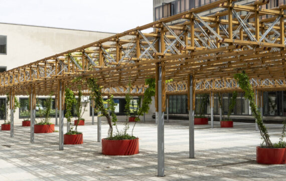 Pergola Pausenplatz Schulhaus, Basel