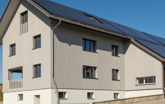 Ersatzbau Wohnhaus, Hämikon