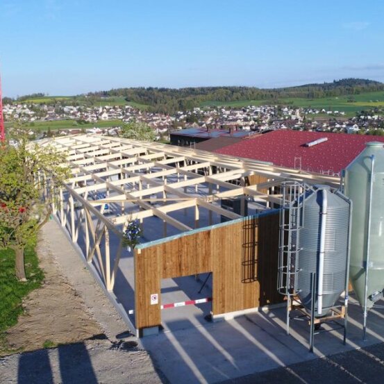 Sarmenstorf: Neuer Hotspot für Federvieh