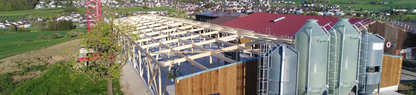 holzfassade