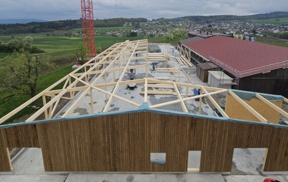 Sarmenstorf: Neuer Hotspot für Federvieh